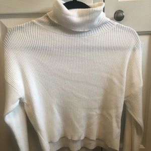 Cropped turtleneck sweater.